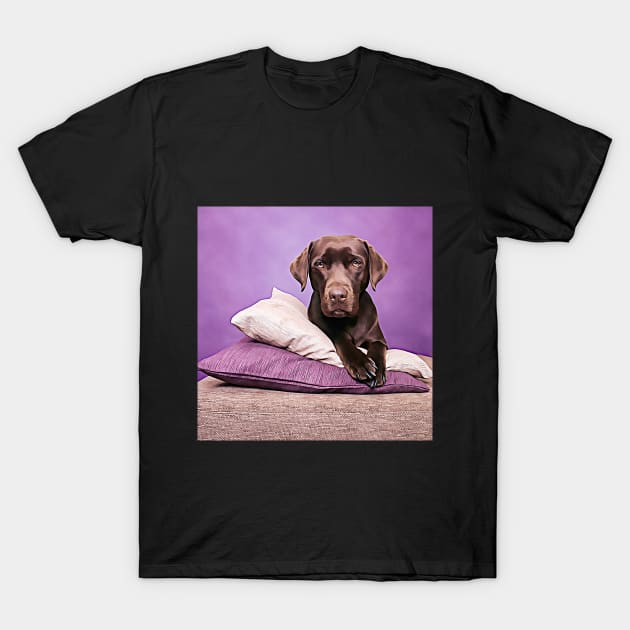 Lovely Chocolate Lab T-Shirt by cameradog